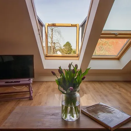 Friesenherz - Luentje